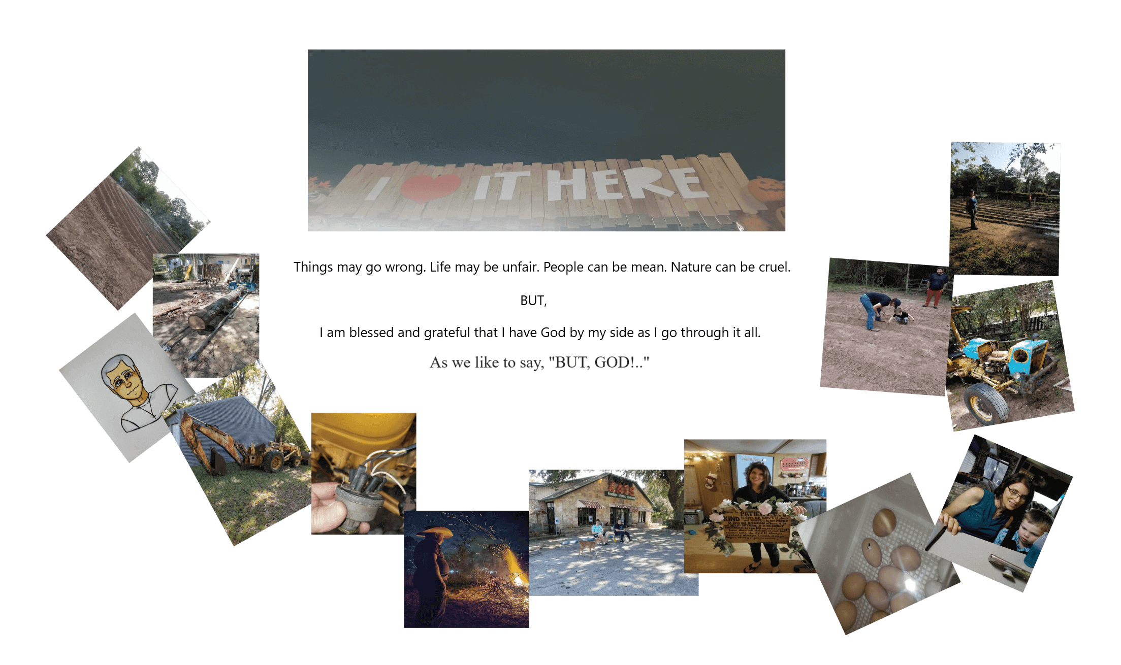 Collection of Chosen Farm Pictures